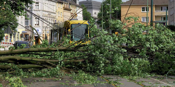 Ela-Schäden: Straßenbahn steht vor einem umgefallenen Baum