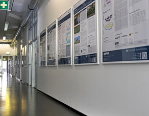 IRPUD hallway with posters